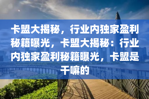 卡盟大揭秘，行业内独家盈利秘籍曝光，卡盟大揭秘：行业内独家盈利秘籍曝光，卡盟是干嘛的