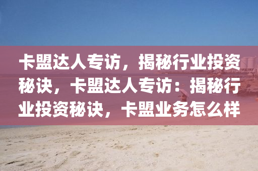 卡盟达人专访，揭秘行业投资秘诀，卡盟达人专访：揭秘行业投资秘诀，卡盟业务怎么样