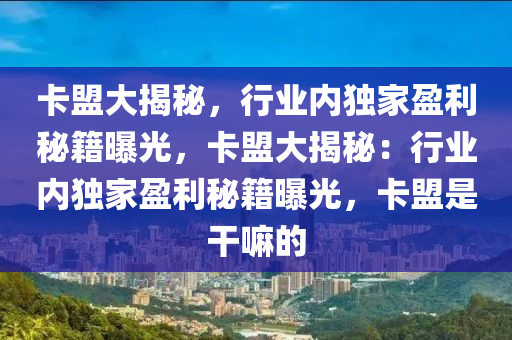 卡盟大揭秘，行业内独家盈利秘籍曝光，卡盟大揭秘：行业内独家盈利秘籍曝光，卡盟是干嘛的