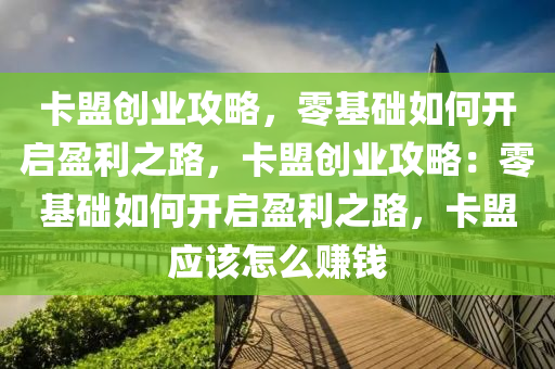 卡盟创业攻略，零基础如何开启盈利之路，卡盟创业攻略：零基础如何开启盈利之路，卡盟应该怎么赚钱