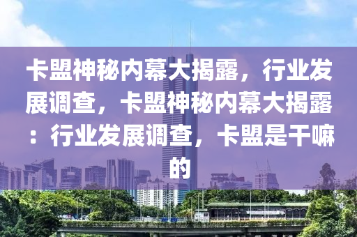 卡盟神秘内幕大揭露，行业发展调查，卡盟神秘内幕大揭露：行业发展调查，卡盟是干嘛的