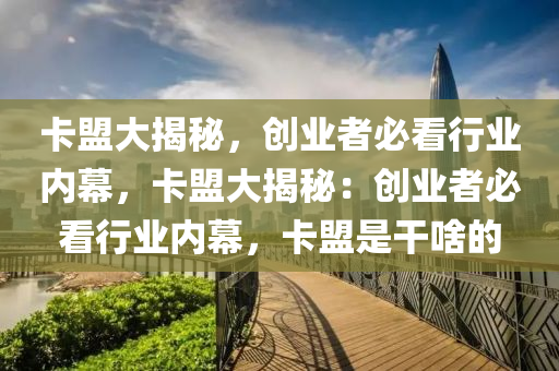 卡盟大揭秘，创业者必看行业内幕，卡盟大揭秘：创业者必看行业内幕，卡盟是干啥的