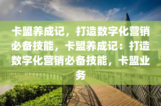 卡盟养成记，打造数字化营销必备技能，卡盟养成记：打造数字化营销必备技能，卡盟业务