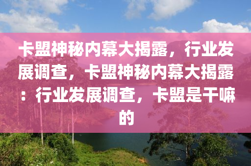 卡盟神秘内幕大揭露，行业发展调查，卡盟神秘内幕大揭露：行业发展调查，卡盟是干嘛的
