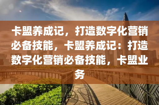 卡盟养成记，打造数字化营销必备技能，卡盟养成记：打造数字化营销必备技能，卡盟业务