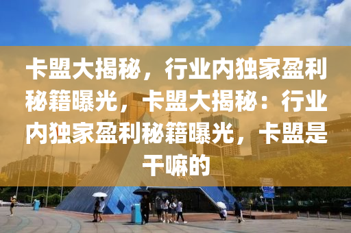 卡盟大揭秘，行业内独家盈利秘籍曝光，卡盟大揭秘：行业内独家盈利秘籍曝光，卡盟是干嘛的