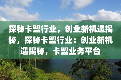 探秘卡盟行业，创业新机遇揭秘，探秘卡盟行业：创业新机遇揭秘，卡盟业务平台
