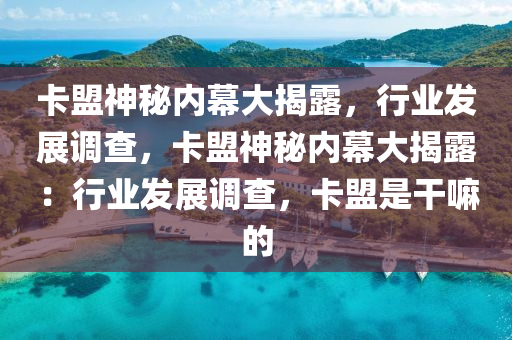 卡盟神秘内幕大揭露，行业发展调查，卡盟神秘内幕大揭露：行业发展调查，卡盟是干嘛的