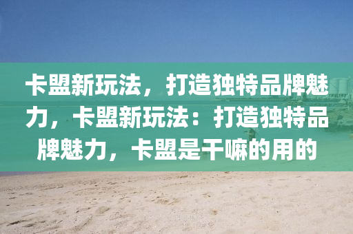 卡盟新玩法，打造独特品牌魅力，卡盟新玩法：打造独特品牌魅力，卡盟是干嘛的用的