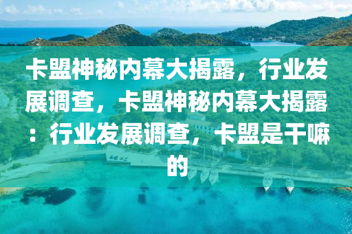 卡盟神秘内幕大揭露，行业发展调查，卡盟神秘内幕大揭露：行业发展调查，卡盟是干嘛的
