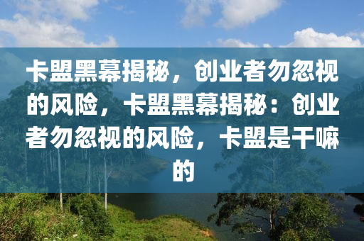 卡盟黑幕揭秘，创业者勿忽视的风险，卡盟黑幕揭秘：创业者勿忽视的风险，卡盟是干嘛的