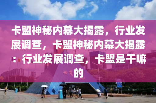 卡盟神秘内幕大揭露，行业发展调查，卡盟神秘内幕大揭露：行业发展调查，卡盟是干嘛的