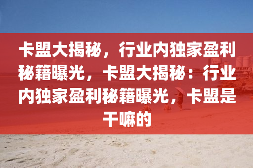 卡盟大揭秘，行业内独家盈利秘籍曝光，卡盟大揭秘：行业内独家盈利秘籍曝光，卡盟是干嘛的
