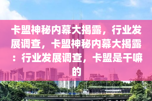 卡盟神秘内幕大揭露，行业发展调查，卡盟神秘内幕大揭露：行业发展调查，卡盟是干嘛的
