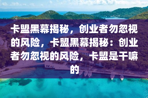 卡盟黑幕揭秘，创业者勿忽视的风险，卡盟黑幕揭秘：创业者勿忽视的风险，卡盟是干嘛的