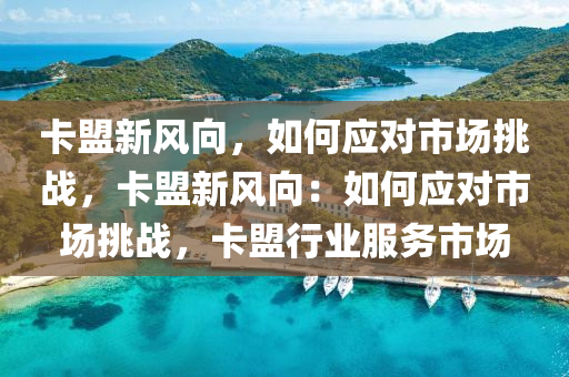 卡盟新风向，如何应对市场挑战，卡盟新风向：如何应对市场挑战，卡盟行业服务市场