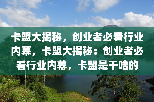 卡盟大揭秘，创业者必看行业内幕，卡盟大揭秘：创业者必看行业内幕，卡盟是干啥的