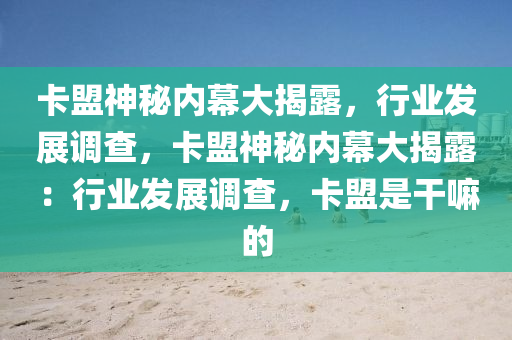 卡盟神秘内幕大揭露，行业发展调查，卡盟神秘内幕大揭露：行业发展调查，卡盟是干嘛的