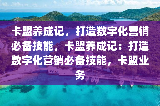 卡盟养成记，打造数字化营销必备技能，卡盟养成记：打造数字化营销必备技能，卡盟业务