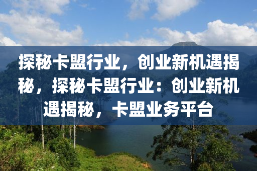 探秘卡盟行业，创业新机遇揭秘，探秘卡盟行业：创业新机遇揭秘，卡盟业务平台