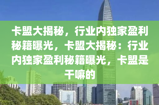 卡盟大揭秘，行业内独家盈利秘籍曝光，卡盟大揭秘：行业内独家盈利秘籍曝光，卡盟是干嘛的