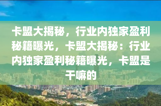 卡盟大揭秘，行业内独家盈利秘籍曝光，卡盟大揭秘：行业内独家盈利秘籍曝光，卡盟是干嘛的