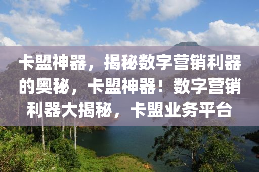 卡盟神器，揭秘数字营销利器的奥秘，卡盟神器！数字营销利器大揭秘，卡盟业务平台