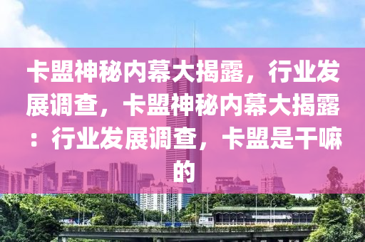 卡盟神秘内幕大揭露，行业发展调查，卡盟神秘内幕大揭露：行业发展调查，卡盟是干嘛的