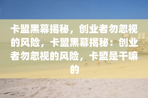 卡盟黑幕揭秘，创业者勿忽视的风险，卡盟黑幕揭秘：创业者勿忽视的风险，卡盟是干嘛的
