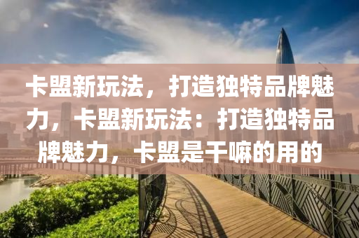 卡盟新玩法，打造独特品牌魅力，卡盟新玩法：打造独特品牌魅力，卡盟是干嘛的用的