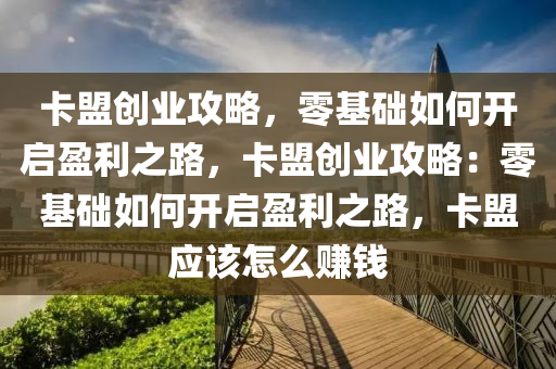 卡盟创业攻略，零基础如何开启盈利之路，卡盟创业攻略：零基础如何开启盈利之路，卡盟应该怎么赚钱