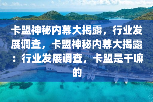 卡盟神秘内幕大揭露，行业发展调查，卡盟神秘内幕大揭露：行业发展调查，卡盟是干嘛的