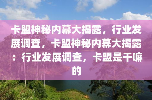 卡盟神秘内幕大揭露，行业发展调查，卡盟神秘内幕大揭露：行业发展调查，卡盟是干嘛的