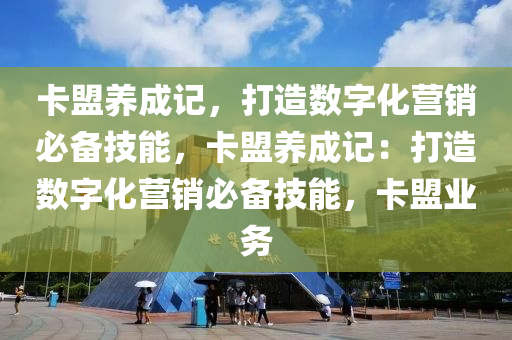 卡盟养成记，打造数字化营销必备技能，卡盟养成记：打造数字化营销必备技能，卡盟业务