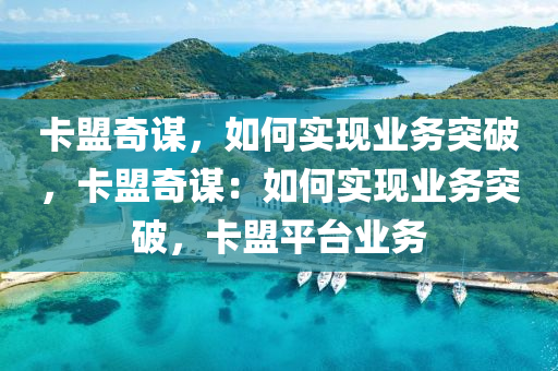 卡盟奇谋，如何实现业务突破，卡盟奇谋：如何实现业务突破，卡盟平台业务