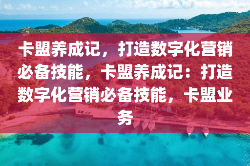 卡盟养成记，打造数字化营销必备技能，卡盟养成记：打造数字化营销必备技能，卡盟业务