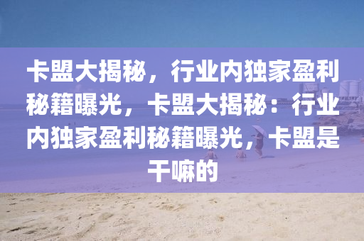 卡盟大揭秘，行业内独家盈利秘籍曝光，卡盟大揭秘：行业内独家盈利秘籍曝光，卡盟是干嘛的