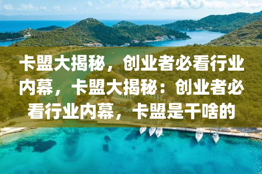 卡盟大揭秘，创业者必看行业内幕，卡盟大揭秘：创业者必看行业内幕，卡盟是干啥的