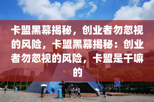 卡盟黑幕揭秘，创业者勿忽视的风险，卡盟黑幕揭秘：创业者勿忽视的风险，卡盟是干嘛的