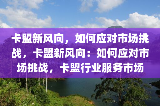 卡盟新风向，如何应对市场挑战，卡盟新风向：如何应对市场挑战，卡盟行业服务市场