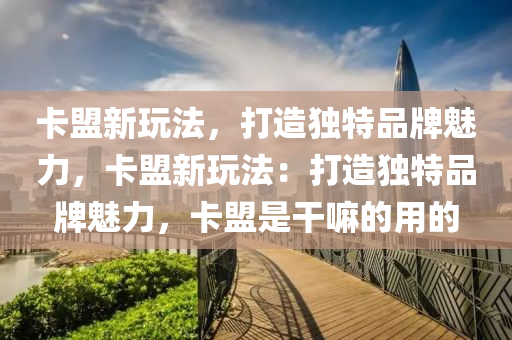卡盟新玩法，打造独特品牌魅力，卡盟新玩法：打造独特品牌魅力，卡盟是干嘛的用的