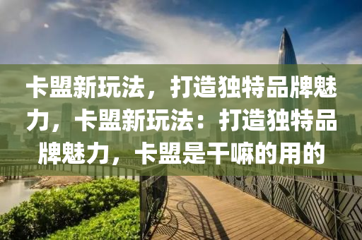 卡盟新玩法，打造独特品牌魅力，卡盟新玩法：打造独特品牌魅力，卡盟是干嘛的用的