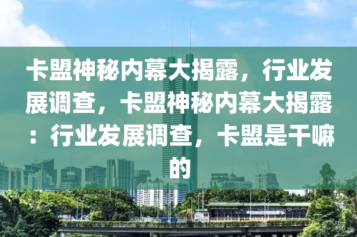 卡盟神秘内幕大揭露，行业发展调查，卡盟神秘内幕大揭露：行业发展调查，卡盟是干嘛的
