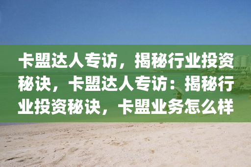 卡盟达人专访，揭秘行业投资秘诀，卡盟达人专访：揭秘行业投资秘诀，卡盟业务怎么样