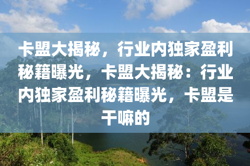 卡盟大揭秘，行业内独家盈利秘籍曝光，卡盟大揭秘：行业内独家盈利秘籍曝光，卡盟是干嘛的