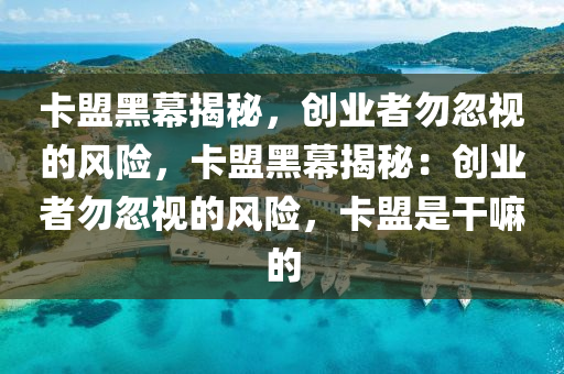 卡盟黑幕揭秘，创业者勿忽视的风险，卡盟黑幕揭秘：创业者勿忽视的风险，卡盟是干嘛的