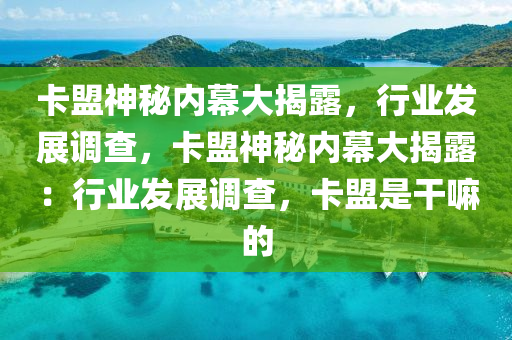 卡盟神秘内幕大揭露，行业发展调查，卡盟神秘内幕大揭露：行业发展调查，卡盟是干嘛的