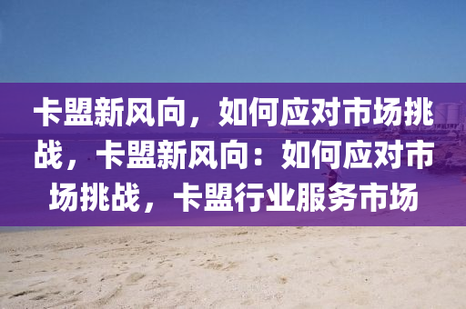 卡盟新风向，如何应对市场挑战，卡盟新风向：如何应对市场挑战，卡盟行业服务市场