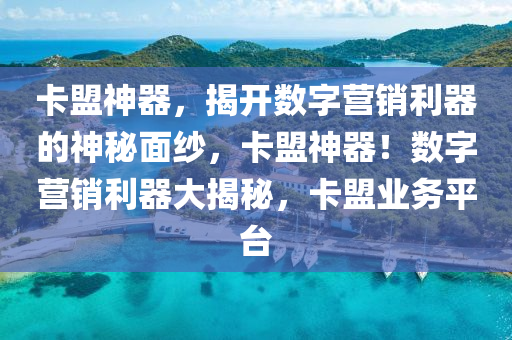 卡盟神器，揭开数字营销利器的神秘面纱，卡盟神器！数字营销利器大揭秘，卡盟业务平台