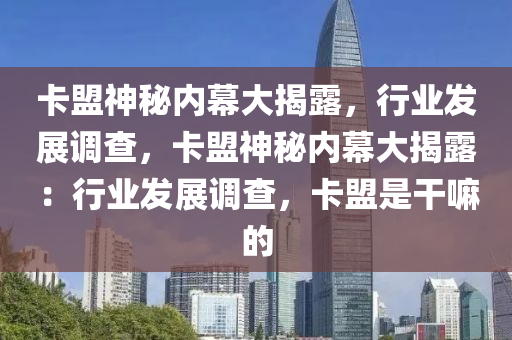 卡盟神秘内幕大揭露，行业发展调查，卡盟神秘内幕大揭露：行业发展调查，卡盟是干嘛的